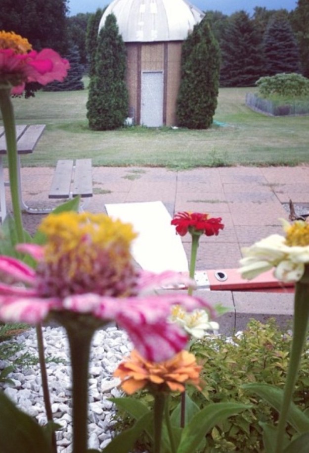 This is one of my favorite shots, looking through potted petunias at the back yard and gardens at our Sand Acres house in Wisconsin.