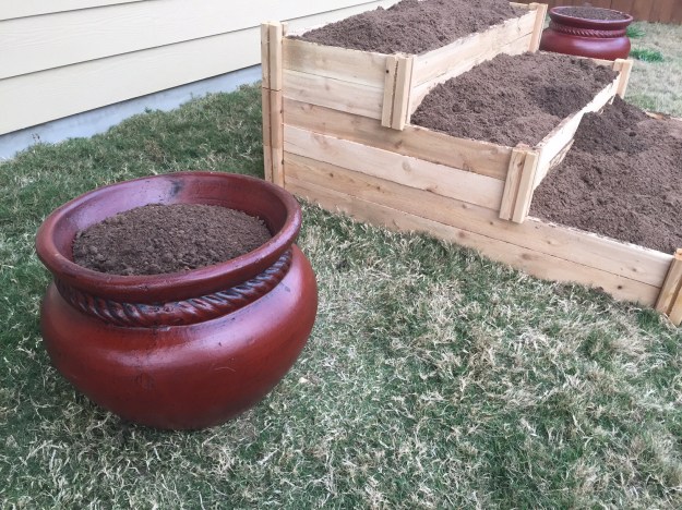 Found a couple pots to go next to the flower bed.