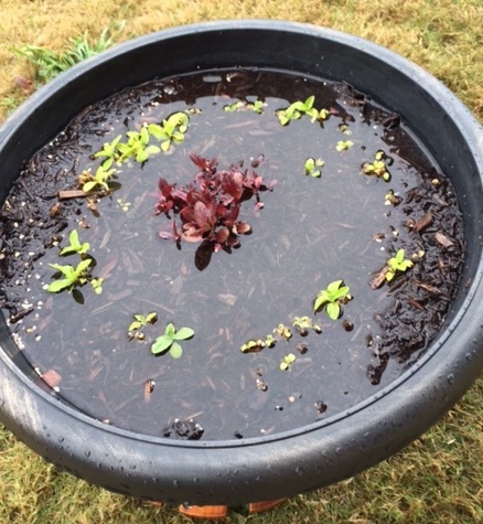 After what must have been a lot of rain today.