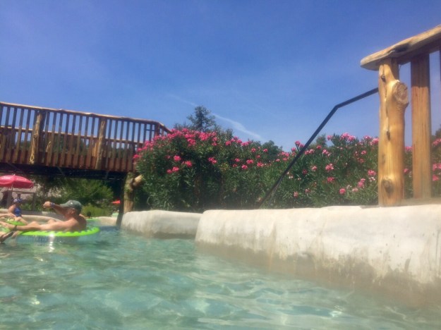 Of course, I had to get one photo of flowers!