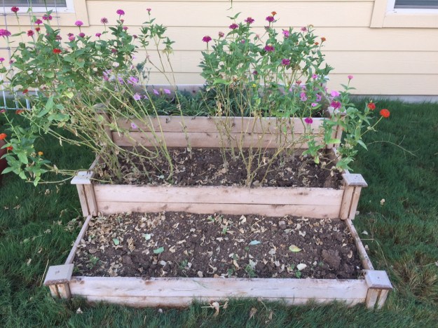 All cleaned out and ready for more.